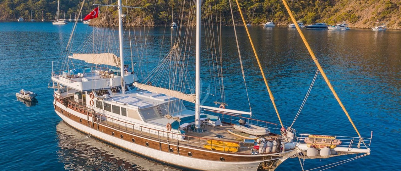 WHITE SWAN yacht charter 1
