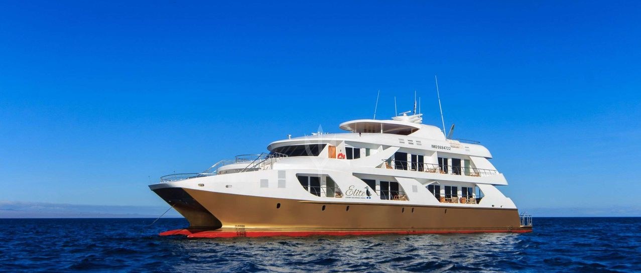 ELITE yacht charter 1