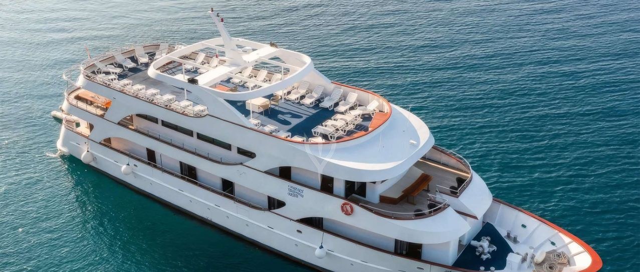 AMALIA yacht charter 1