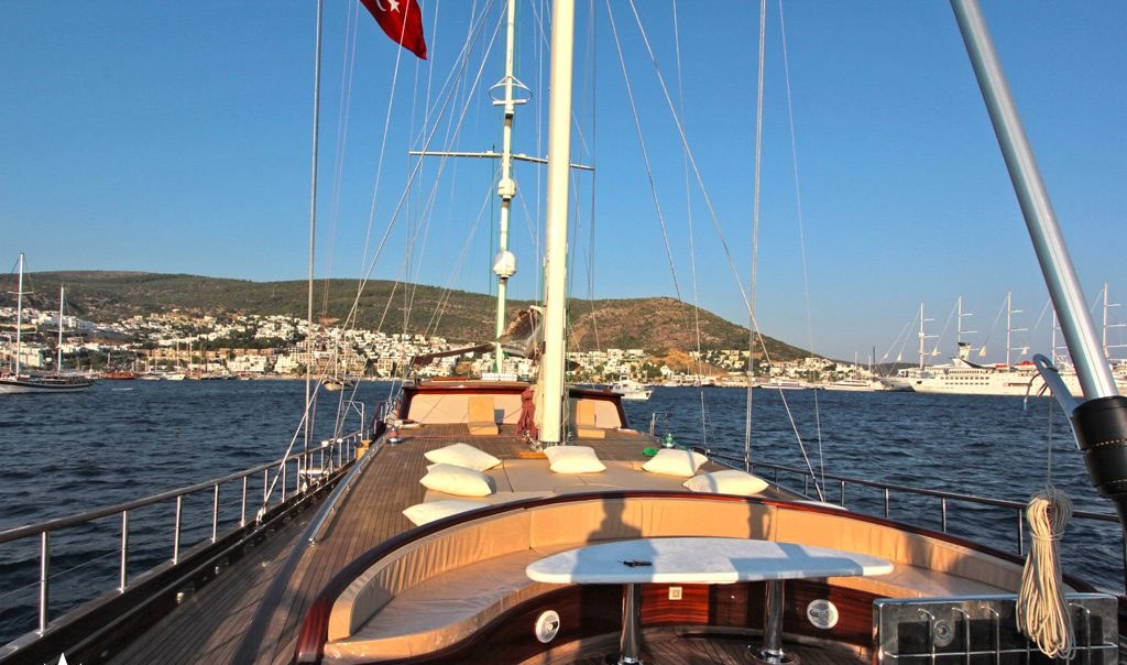 CARPE DIEM V yacht charter 3