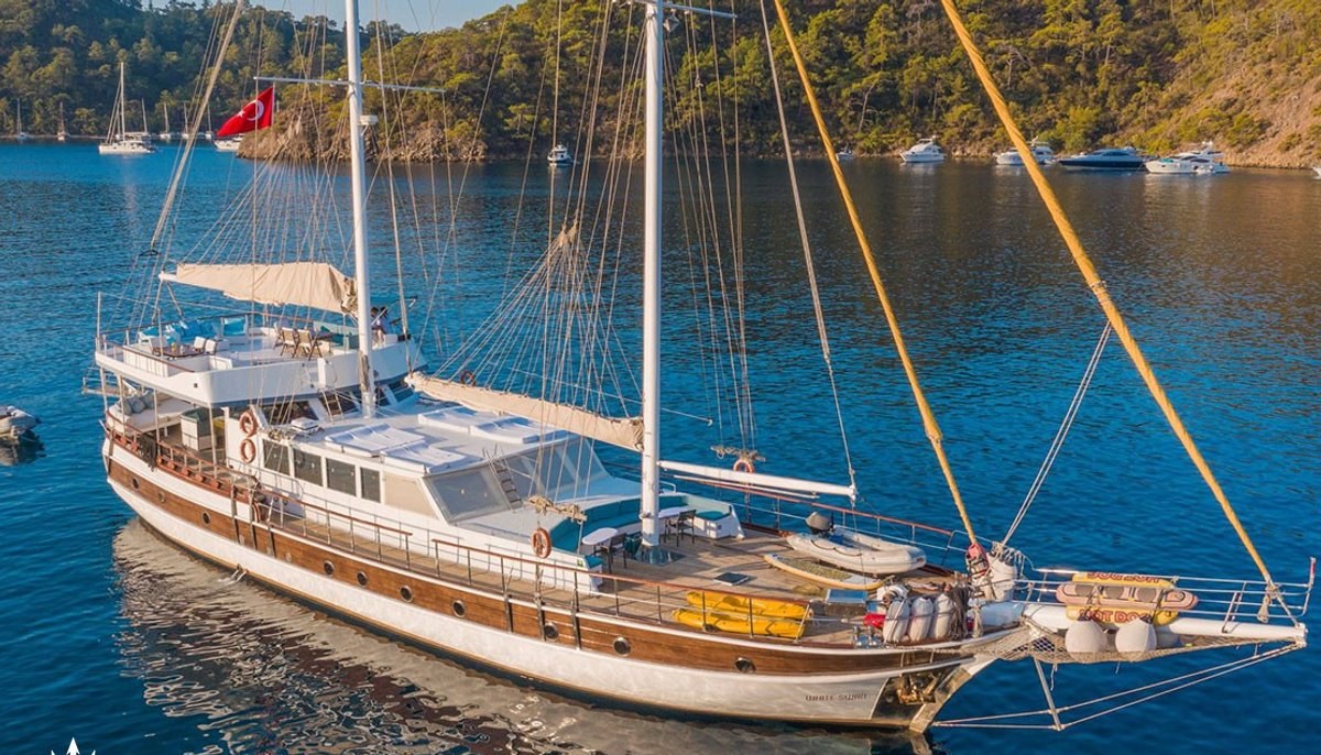 WHITE SWAN yacht charter 2