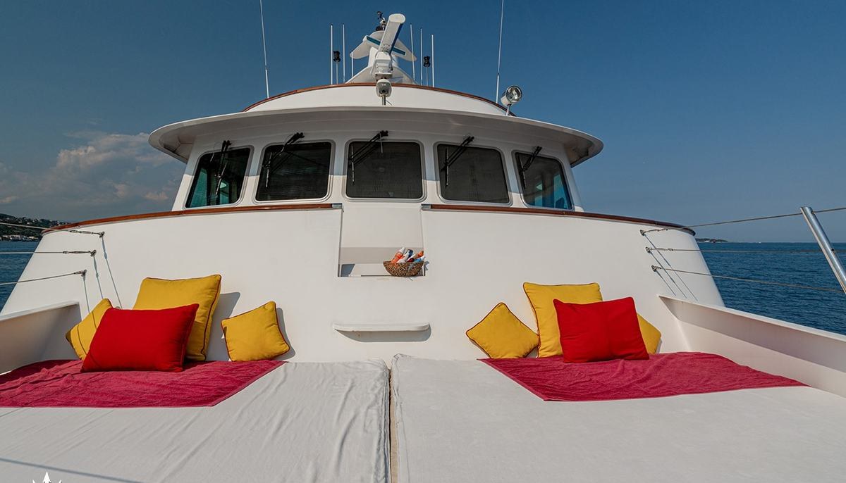 SEA LION yacht charter 3