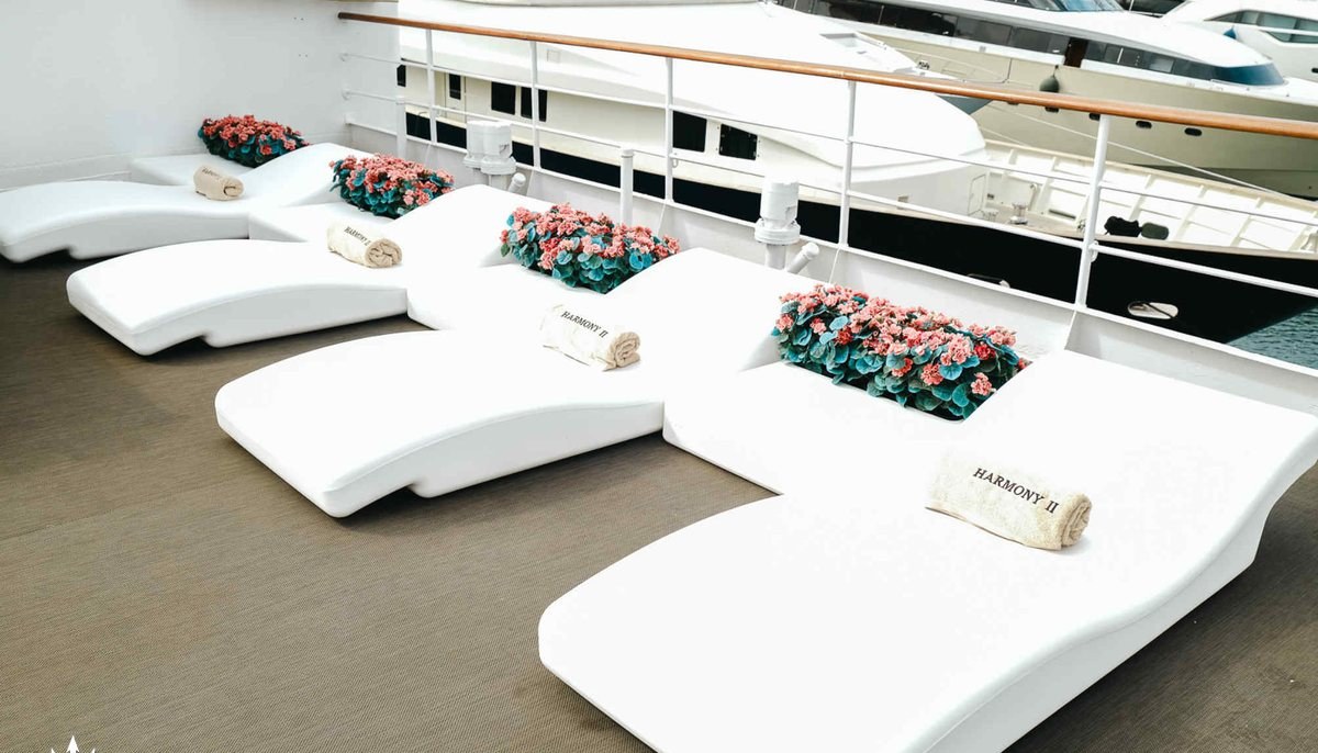 HARMONY II yacht charter 5